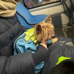 ����: ������� ������ ����������� ������ ������� ������� ������ ������, ���������� ����� � �. ������