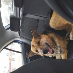 ����: ������� ������ �������� ������� �������� ������ ������ �������� ������� ������� � �. ������