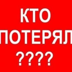 Подробнее об объявлении «Кирово-Чепецк Найдена собака кобель» Фото: найдена собака Лабрадор ретривер «Кирово-Чепецк Найдена собака кобель» в г. Кирово-Чепецк