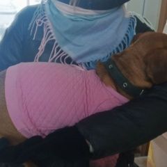 ����: ������� ������ ����� �������� ������, ������ ����� �������� � �. ��������