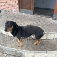 ����: ������� ������ ����� ��������� ������� ������ ������ ��������� � �. ��������