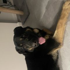 ����: ������� ������  �������� ������ ������ ���� ������� ������ � �. ������