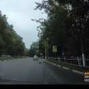 Подробнее об объявлении «Подольск Найдено домашнее животное видели обезьяну» Фото: найдено другое животное  «Подольск Найдено домашнее животное видели обезьяну» в г. Подольск