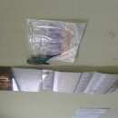 Подробнее об объявлении «Санкт-Петербург Найден попугай» Фото: найдено другое животное  «Санкт-Петербург Найден попугай» в г. Санкт-Петербург