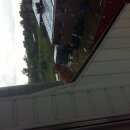 Подробнее об объявлении «Найдено домашнее животное голубь окольцованный светло-коричневый Можайск» Фото: найдено другое животное  «Найдено домашнее животное голубь окольцованный...» в г. Можайск