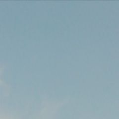 Подробнее об объявлении «Красноярск Найден попугай» Фото: найдено другое животное  «Красноярск Найден попугай» в г. Красноярск