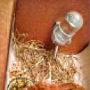 Подробнее об объявлении «Москва Найдено домашнее животное кролик (рыжый)» Фото: найдено другое животное  «Москва Найдено домашнее животное кролик (рыжый)» в г. Москва