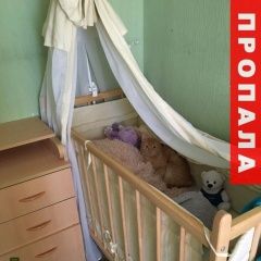 Подробнее об объявлении «Пропал кот Ростов-на-Дону» Фото: пропала кошка  «Пропал кот Ростов-на-Дону» в г. Ростов-на-Дону