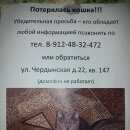 Подробнее об объявлении «Пермь Пропала кошка» Фото: пропала кошка  «Пермь Пропала кошка» в г. Пермь