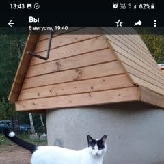 Подробнее об объявлении «Пропал кот Белые Столбы» Фото: пропала кошка  «Пропал кот Белые Столбы» в г. Белые Столбы