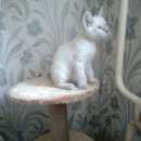 Подробнее об объявлении «Пропала кошка Березовский (Свердловская обл.)» Фото: пропала кошка  «Пропала кошка Березовский (Свердловская обл.)» в г. Березовский (Свердловская обл.)