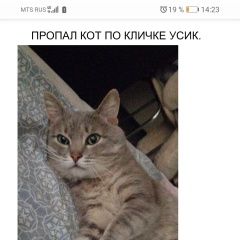 ����: ������� �����  ������� ��� � 8 ����������� ������� � �. �������