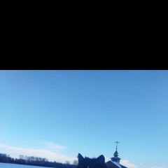 Подробнее об объявлении «Пропала кошка потерялась кошка Омск» Фото: пропала кошка  «Пропала кошка потерялась кошка Омск» в г. Омск