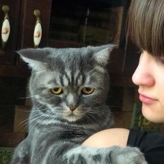 Подробнее об объявлении «Пропал кот Москва» Фото: пропала кошка Британская короткошерстная «Пропал кот Москва» в г. Москва