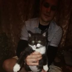 Подробнее об объявлении «Пропал котёнок 3 месяца Тверь» Фото: пропала кошка  «Пропал котёнок 3 месяца Тверь» в г. Тверь