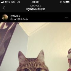 Подробнее об объявлении «Пропал кот Москва» Фото: пропала кошка  «Пропал кот Москва» в г. Москва