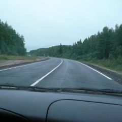 Подробнее об объявлении «Пропал кот.. малыш в 11 00 Ноябрьск» Фото: пропала кошка  «Пропал кот.. малыш в 11 00 Ноябрьск» в г. Ноябрьск