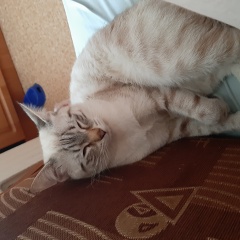 ����: ������� ����� ������� ���������� ������ ��� � �. ���������