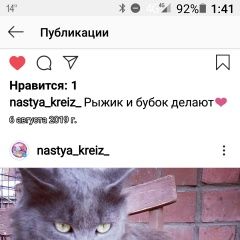 Подробнее об объявлении «Иркутск Пропал кот.» Фото: пропала кошка  «Иркутск Пропал кот.» в г. Иркутск