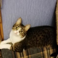 ����: ������� �����  �������� ����� �������� �����  ������ � �. ������