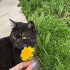 ����: ������� ����� ���������� �������������� ������� ������� ����� � ������� � �. ������