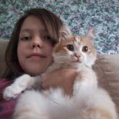 Подробнее об объявлении «Пропал кот Оренбург» Фото: пропала кошка  «Пропал кот Оренбург» в г. Оренбург