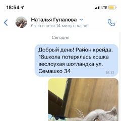 Подробнее об объявлении «Белгород Пропала кошка» Фото: пропала кошка Шар-пей «Белгород Пропала кошка» в г. Белгород