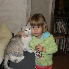 Подробнее об объявлении «Волгоград Пропала кошка» Фото: пропала кошка  «Волгоград Пропала кошка» в г. Волгоград