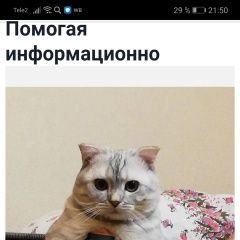 Подробнее об объявлении «Нижний Новгород Пропал кот» Фото: пропала кошка  «Нижний Новгород Пропал кот» в г. Нижний Новгород