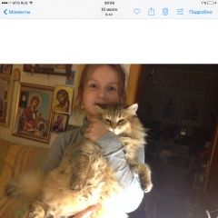 ����: ������� ����� ��������� �������� ����� ������ � �. ������