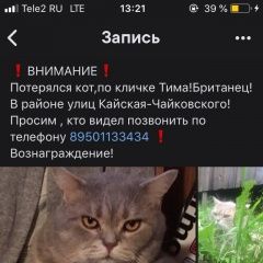 Подробнее об объявлении «Иркутск Пропал кот помогите найти» Фото: пропала кошка Британская короткошерстная «Иркутск Пропал кот помогите найти» в г. Иркутск