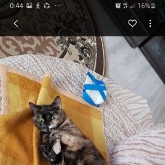 ����: ������� �����  �������� ����� ����� ���� ����� � �. �����