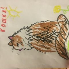Подробнее об объявлении «Раменское Пропала кошка» Фото: пропала кошка Сибирская «Раменское Пропала кошка» в г. Раменское