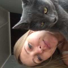 Подробнее об объявлении «Геленджик Пропала кошка» Фото: пропала кошка Русская голубая «Геленджик Пропала кошка» в г. Геленджик