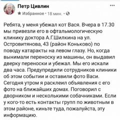Подробнее об объявлении «Москва Пропал кот» Фото: пропала кошка  «Москва Пропал кот» в г. Москва