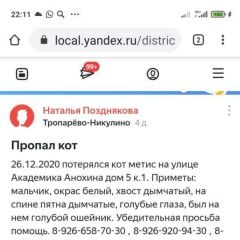 Подробнее об объявлении «Москва Пропал кот..г.ул.акад.анохина» Фото: пропала кошка  «Москва Пропал кот..г.ул.акад.анохина» в г. Москва