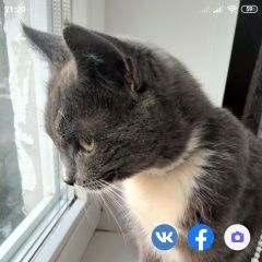 ����: ������� �����  ������� ��� ������������� � �. �������������