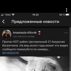 Подробнее об объявлении «Пропала кошка срочно Омск» Фото: пропала кошка  «Пропала кошка срочно Омск» в г. Омск