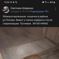 Подробнее об объявлении «Иркутск Пропала кошка» Фото: пропала кошка  «Иркутск Пропала кошка» в г. Иркутск