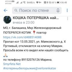 Подробнее об объявлении «Железнодорожный (Московск.) Пропал кот за вознаграждение» Фото: пропала кошка  «Железнодорожный (Московск.) Пропал кот за...» в г. Железнодорожный (Московск.)
