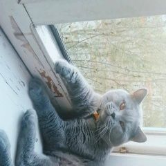 ����: ������� ����� ���������� ��������������� ����� ������ ������ ��� � �. �����