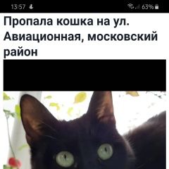 Подробнее об объявлении «Пропала кошка кошечка на ул. авиационная Санкт-Петербург» Фото: пропала кошка  «Пропала кошка кошечка на ул. авиационная...» в г. Санкт-Петербург