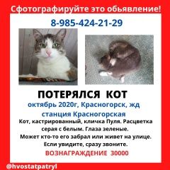 ����: ������� �����  ������� ��� ����������� � �. �����������