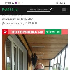 Подробнее об объявлении «Курск Пропала кошка мейнкун 1, 5 года» Фото: пропала кошка Мейн-кун «Курск Пропала кошка мейнкун 1, 5 года» в г. Курск