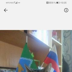 Подробнее об объявлении «Апшеронск Пропал кот в е» Фото: пропала кошка Европейская короткошерстная «Апшеронск Пропал кот в е» в г. Апшеронск