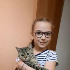 Подробнее об объявлении «Пропал кот чертаново южное Москва» Фото: пропала кошка  «Пропал кот чертаново южное Москва» в г. Москва