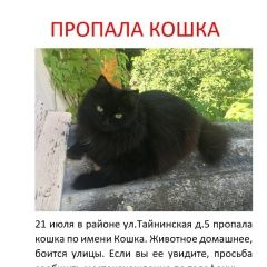 Подробнее об объявлении «Пропала кошка помогите найти друга Москва» Фото: пропала кошка  «Пропала кошка помогите найти друга Москва» в г. Москва