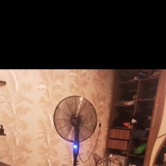 Подробнее об объявлении «Пропал кот Арзамас» Фото: пропала кошка  «Пропал кот Арзамас» в г. Арзамас