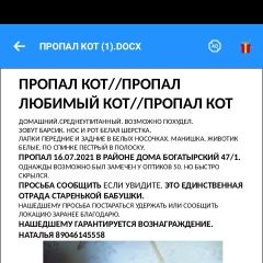 Подробнее об объявлении «Пропал кот Санкт-Петербург» Фото: пропала кошка  «Пропал кот Санкт-Петербург» в г. Санкт-Петербург
