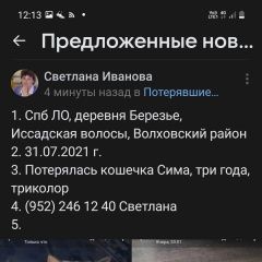 Подробнее об объявлении «Пропала кошка Волхов» Фото: пропала кошка  «Пропала кошка Волхов» в г. Волхов